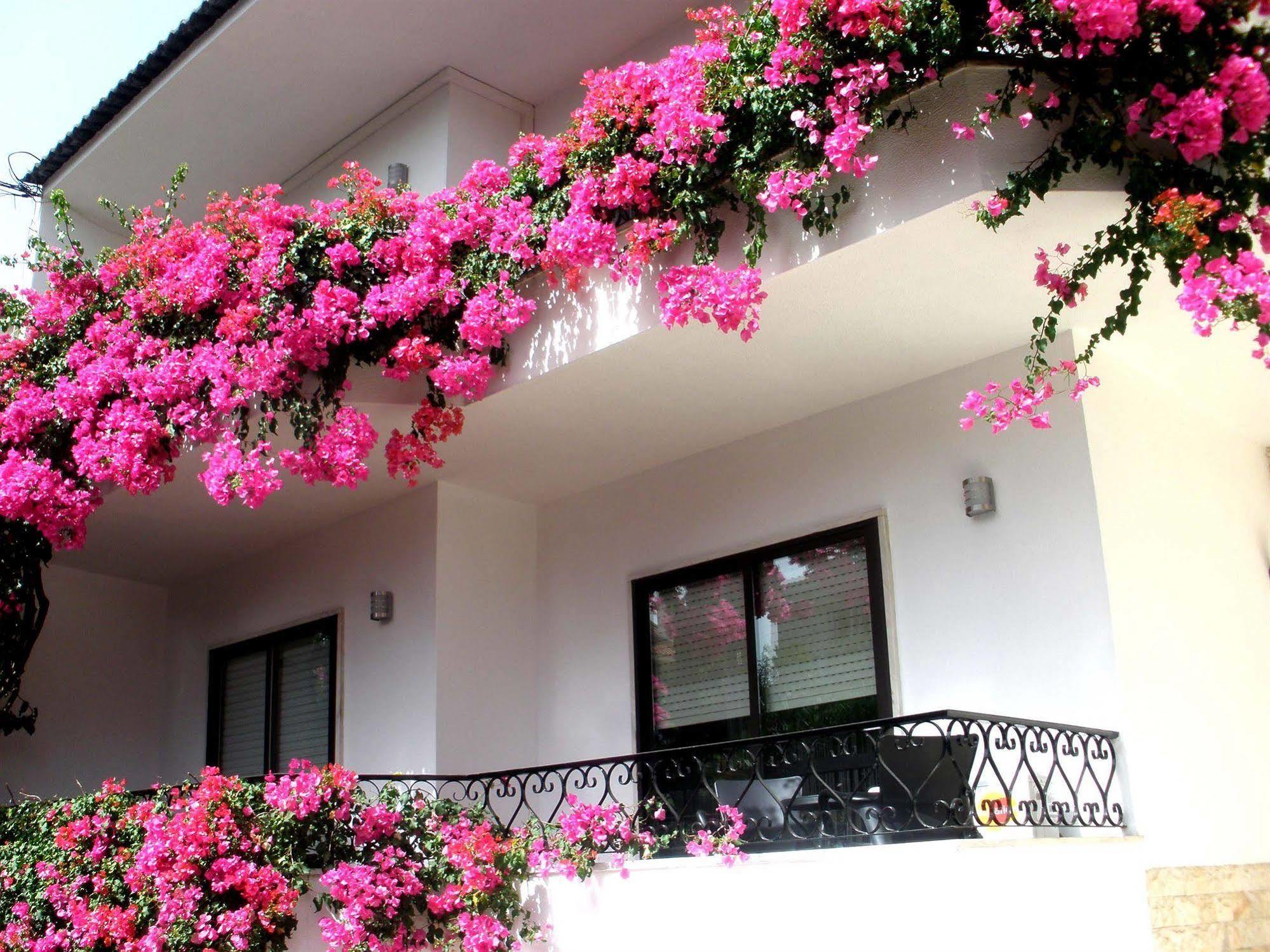 Dolce Cascais Guest House Exteriér fotografie